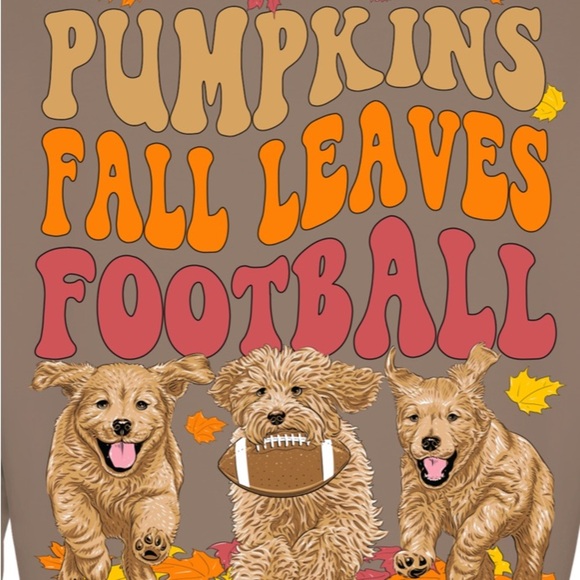 Simply Southern Tops - Simply Southern “Pumpkins Fall Leaves Football” Long Sleeve Shirt Unisex Medium